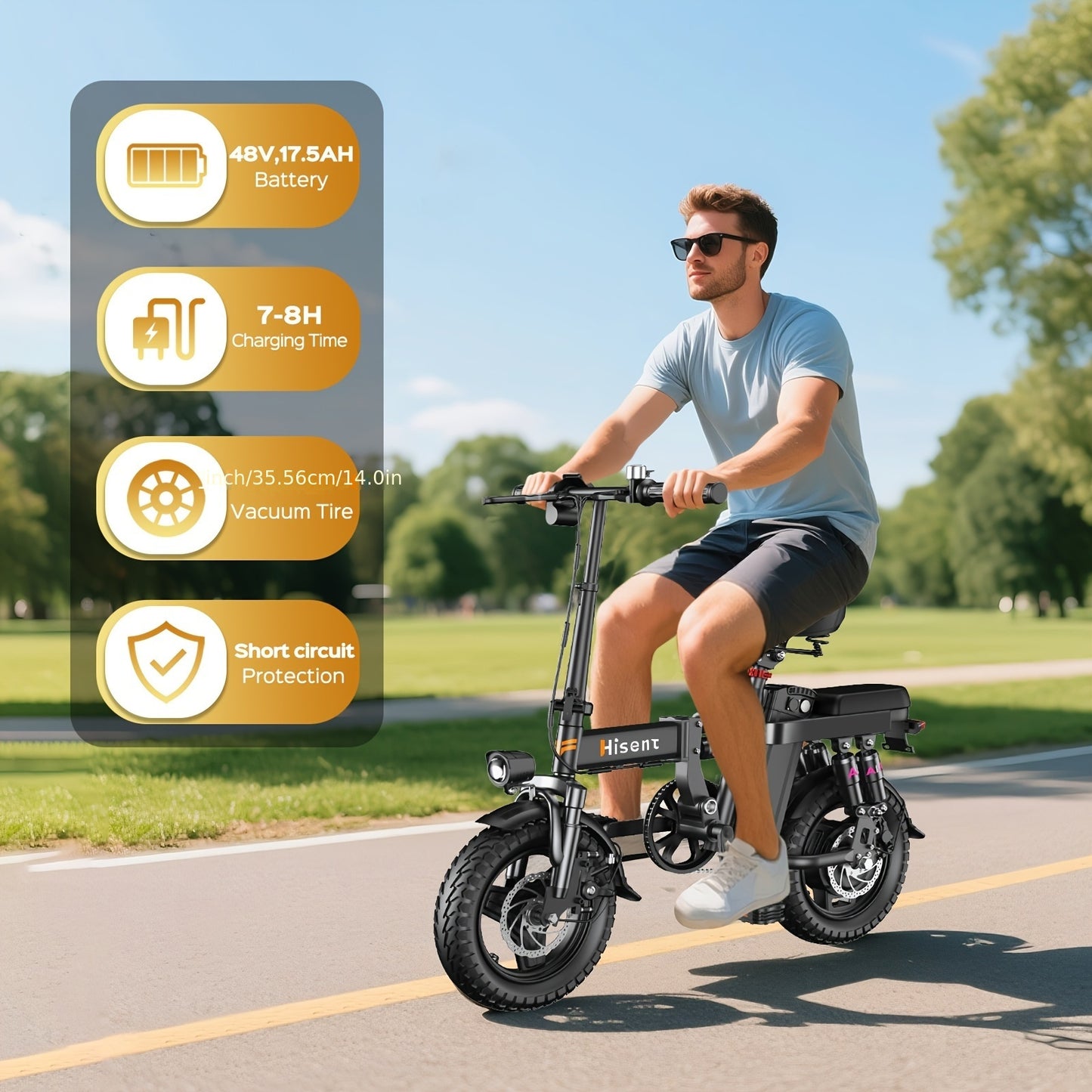 Adult Foldable Electric Bike