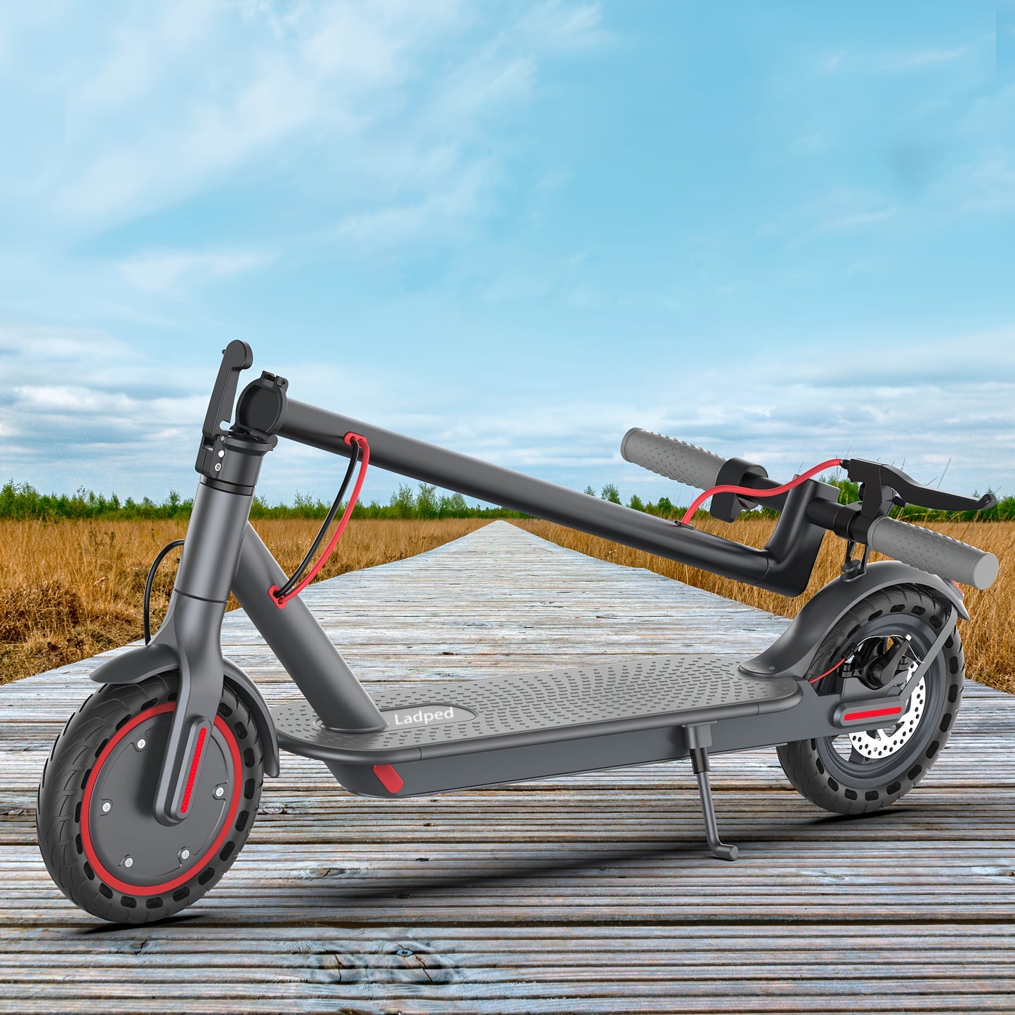 LADPED Electric Scooter LP80, 350W 36V 50/60HZD