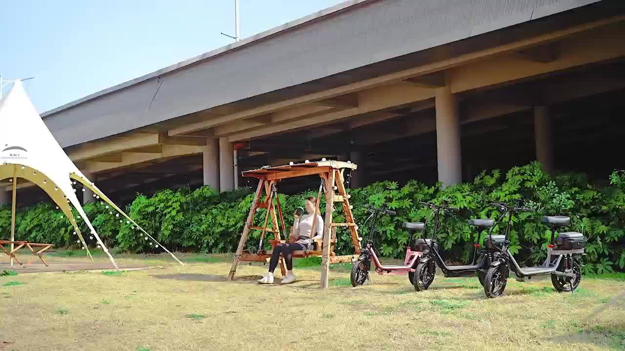 740W Adult Electric Scooter with Seat