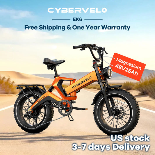 20” Fat Tire 2000W Peak Motor Luxury Foldable E-bike