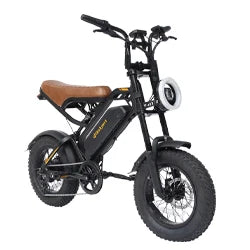 M16 Off Road E Bike Adult