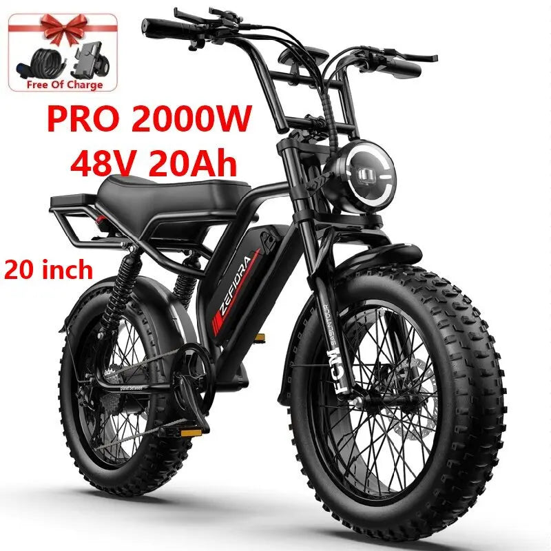 14- 20 inch Electric fat bike