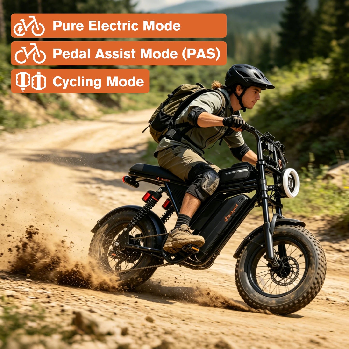 M16 Off Road E Bike Adult