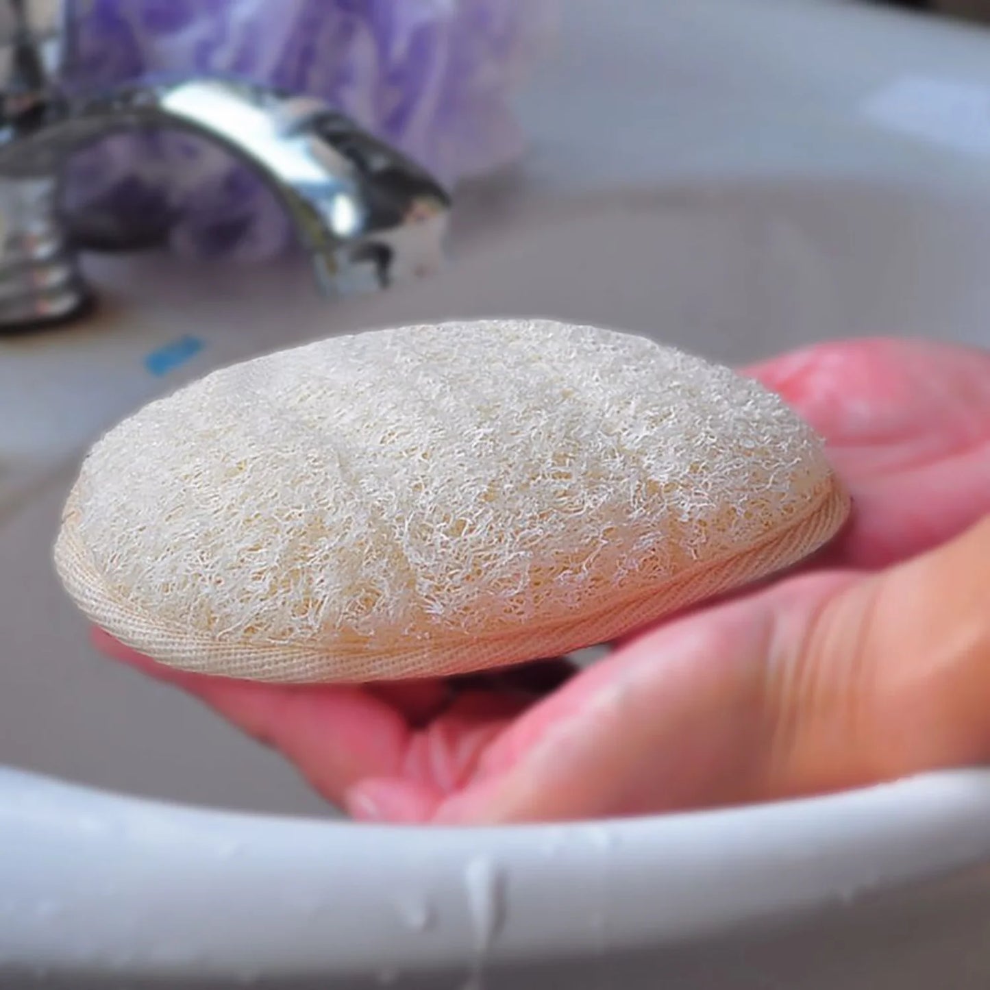 2pcs Natural Loofah Bath Sponge