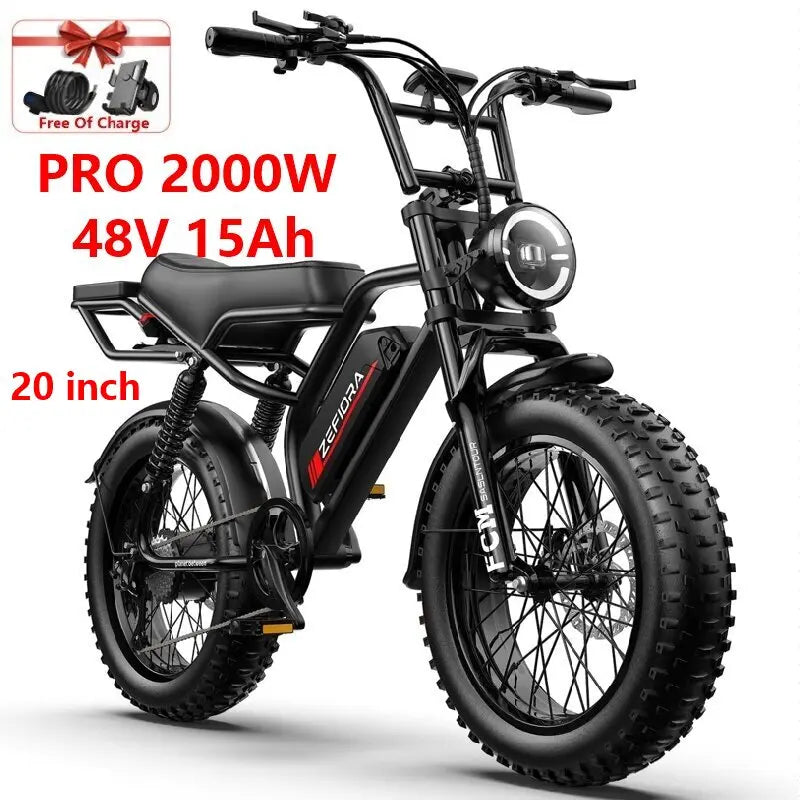 14- 20 inch Electric fat bike