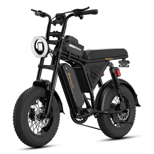 M16 Off Road E Bike Adult