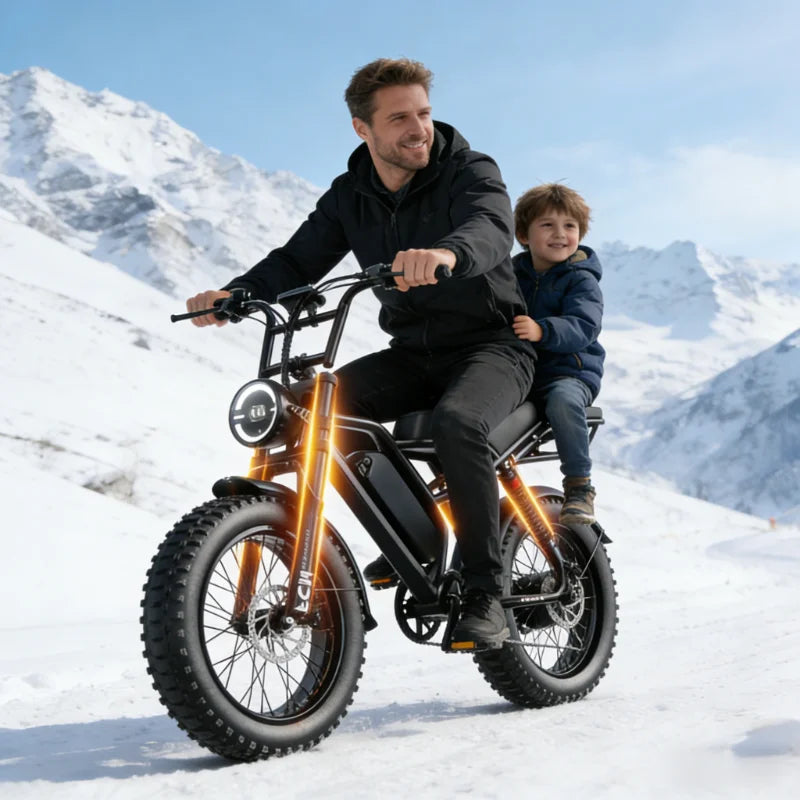 14- 20 inch Electric fat bike