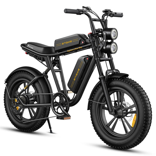 750W Electric Bike