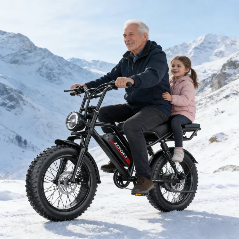 14- 20 inch Electric fat bike