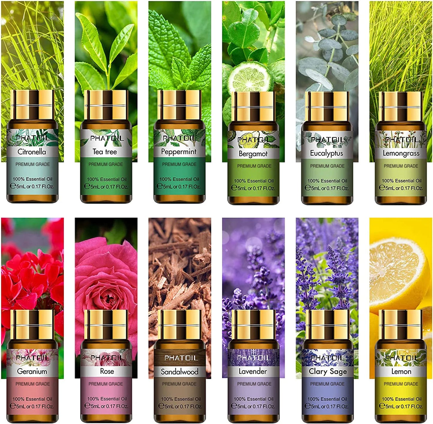 12pcs Gift Box Pure Essential Oils