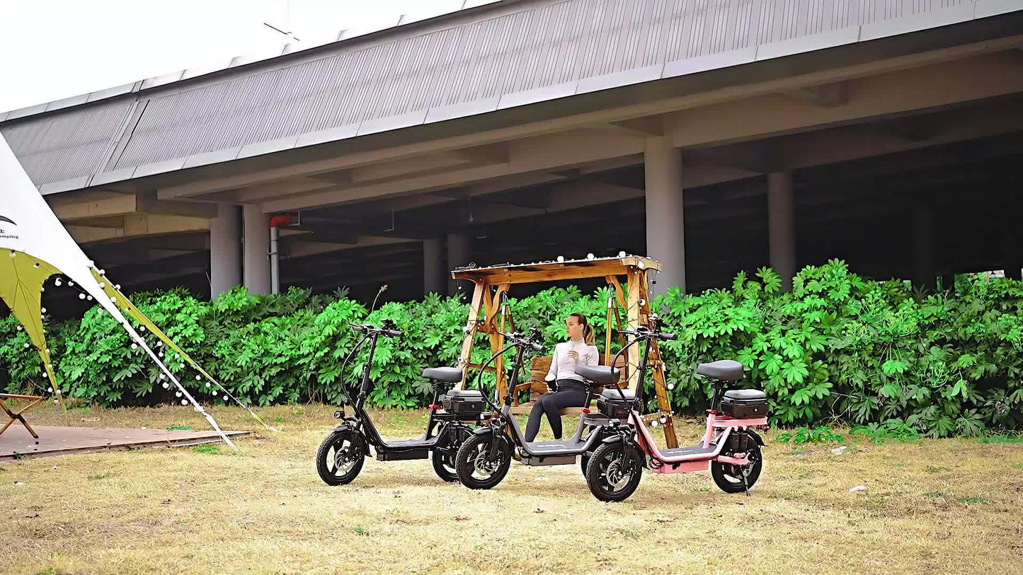 740W Peak Electric Scooter