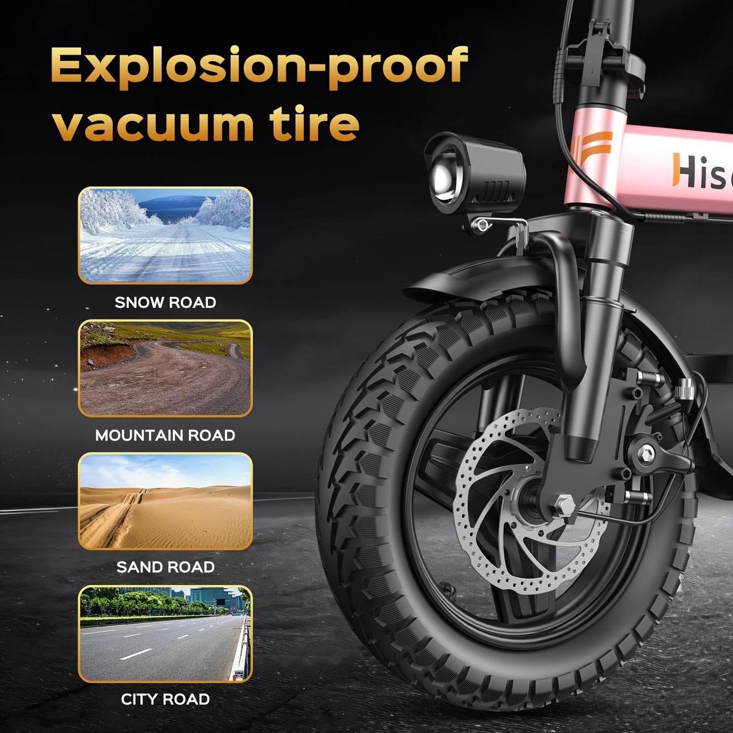 Adult Foldable Electric Bike