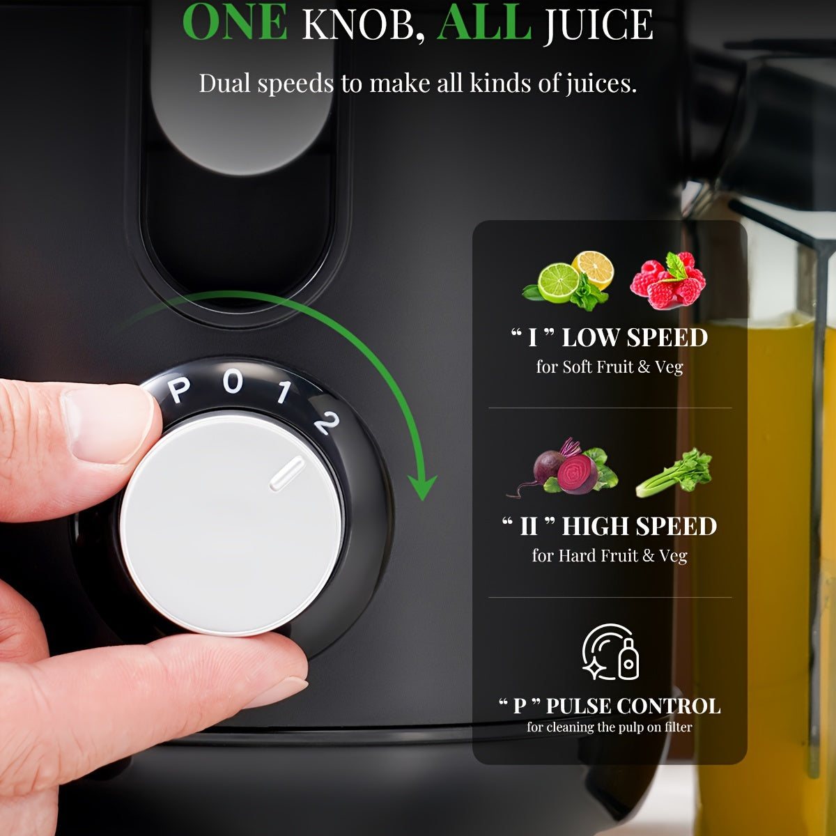 350W 2-Speed  Centrifugal Juicer